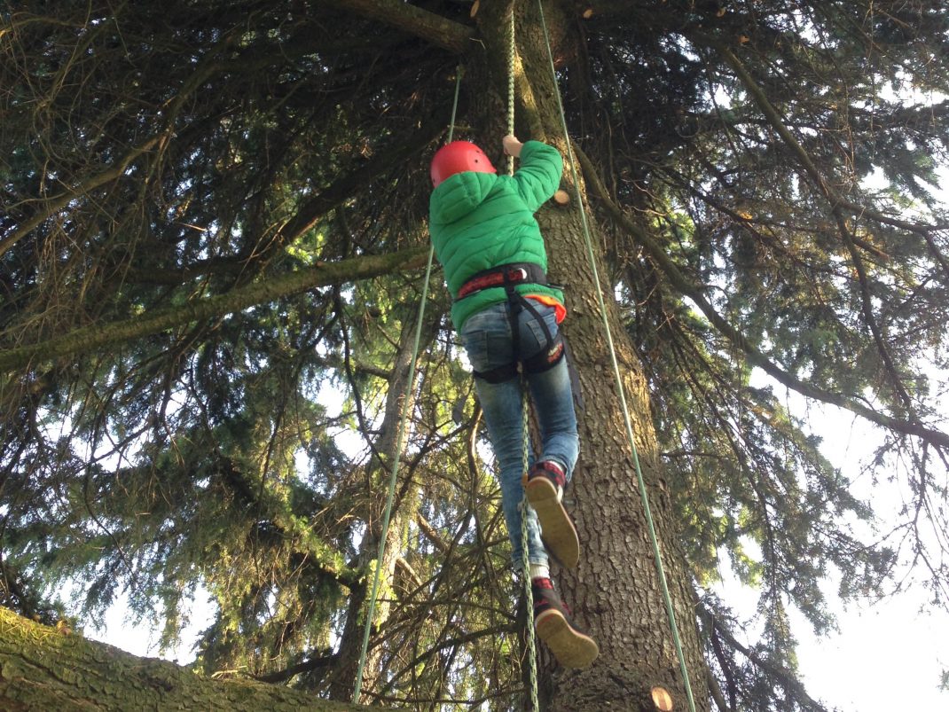 tree-climbing: potatura con funi