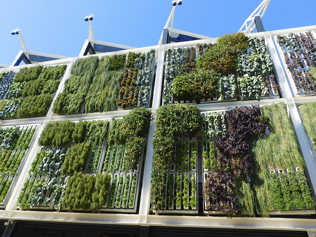 Giardini verticali da esterno a Padova - L'Arte del Verde