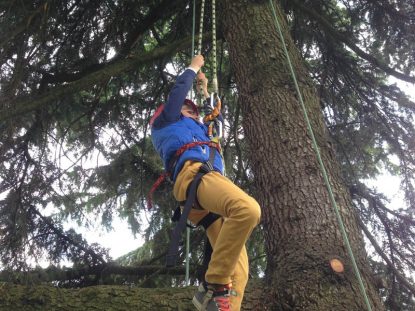 Tree Climbing