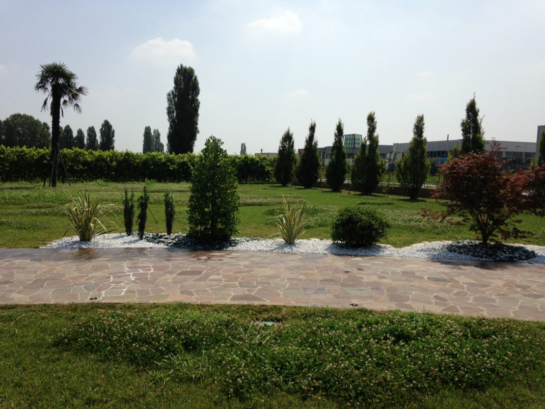 Progettazione del tuo giardino a fini ornamentali