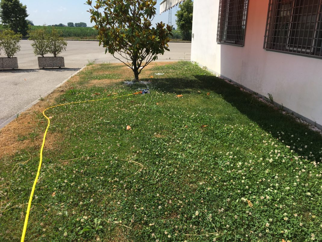 Manutenzione del verde a Padova, ripristino giardino