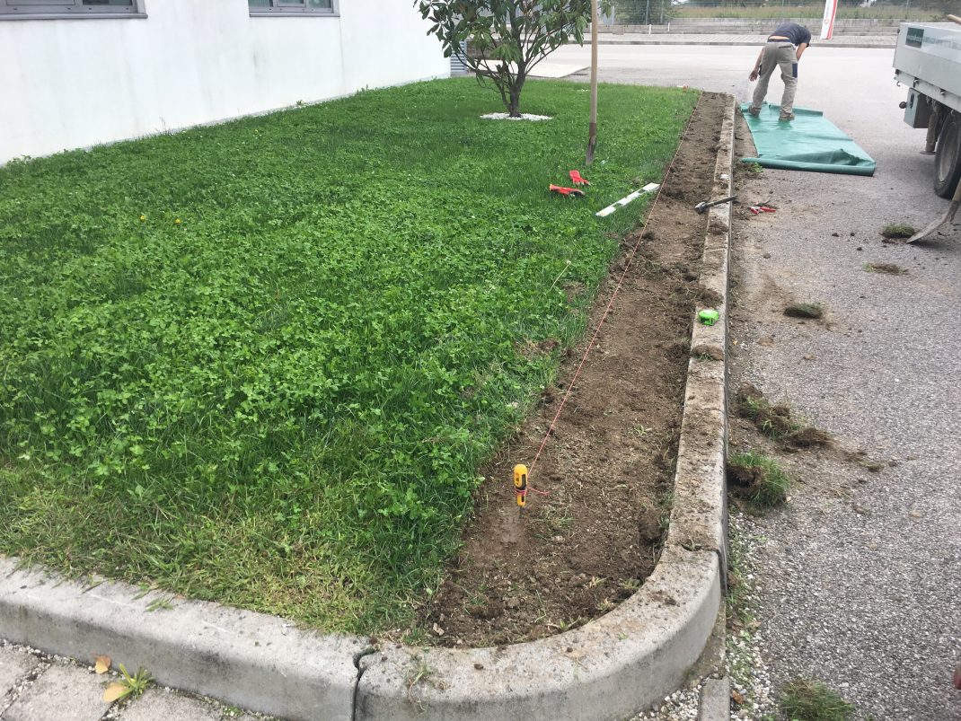 Manutenzione del verde Padova, esempio di lavorazione giardino