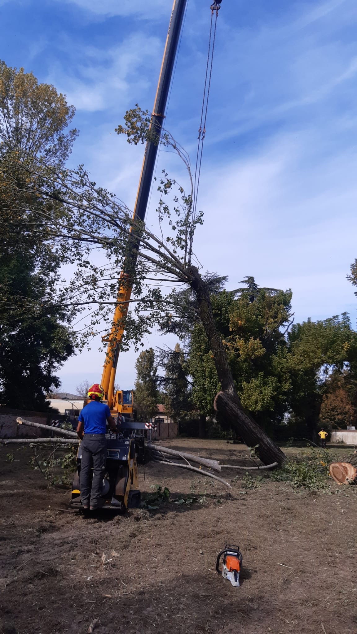Rudolphs Schatzkiste Angelo Di Prato In Legno - Nuvola Livellata - Artigianato Dei Monti Metalliferi - Larghezza 34 Cm